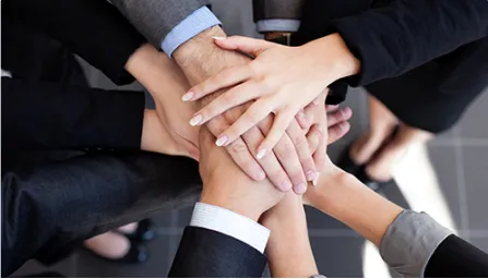 To our shareholders